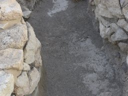 Yacimiento de la Almoloya 2023